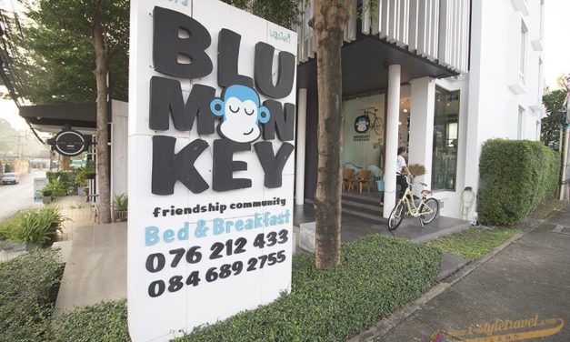 blu monkey ที่พักเมืองภูเก็ต