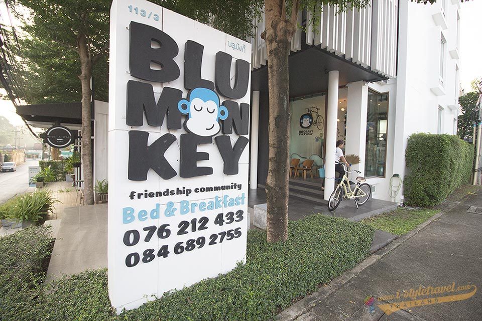 blu monkey ที่พักเมืองภูเก็ต